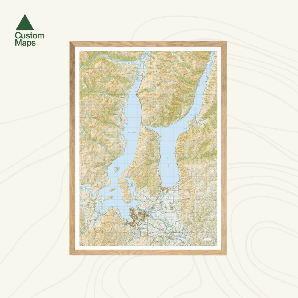 Topographic map of Wanaka and Hawea