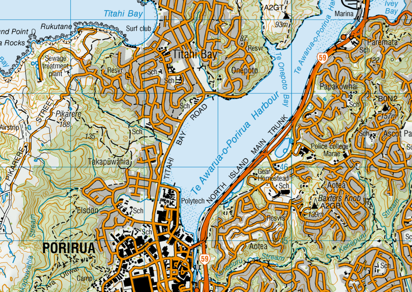 Wellington Wall Map