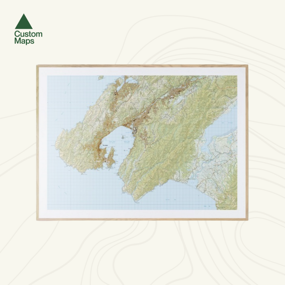 Wellington Wall Map