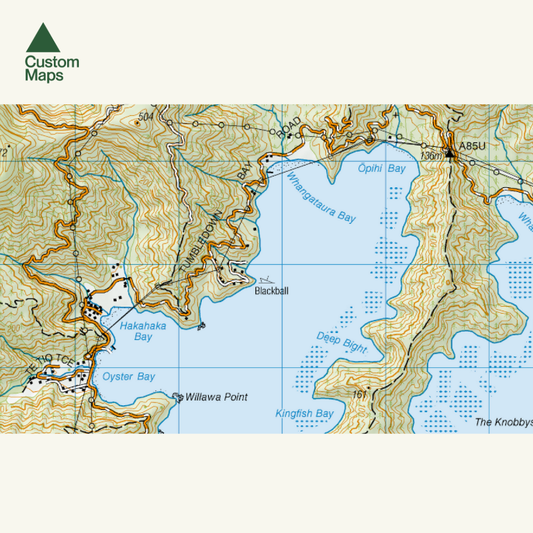 Close up of topographic map of Marlborough sounds with coastal features and labeled locations