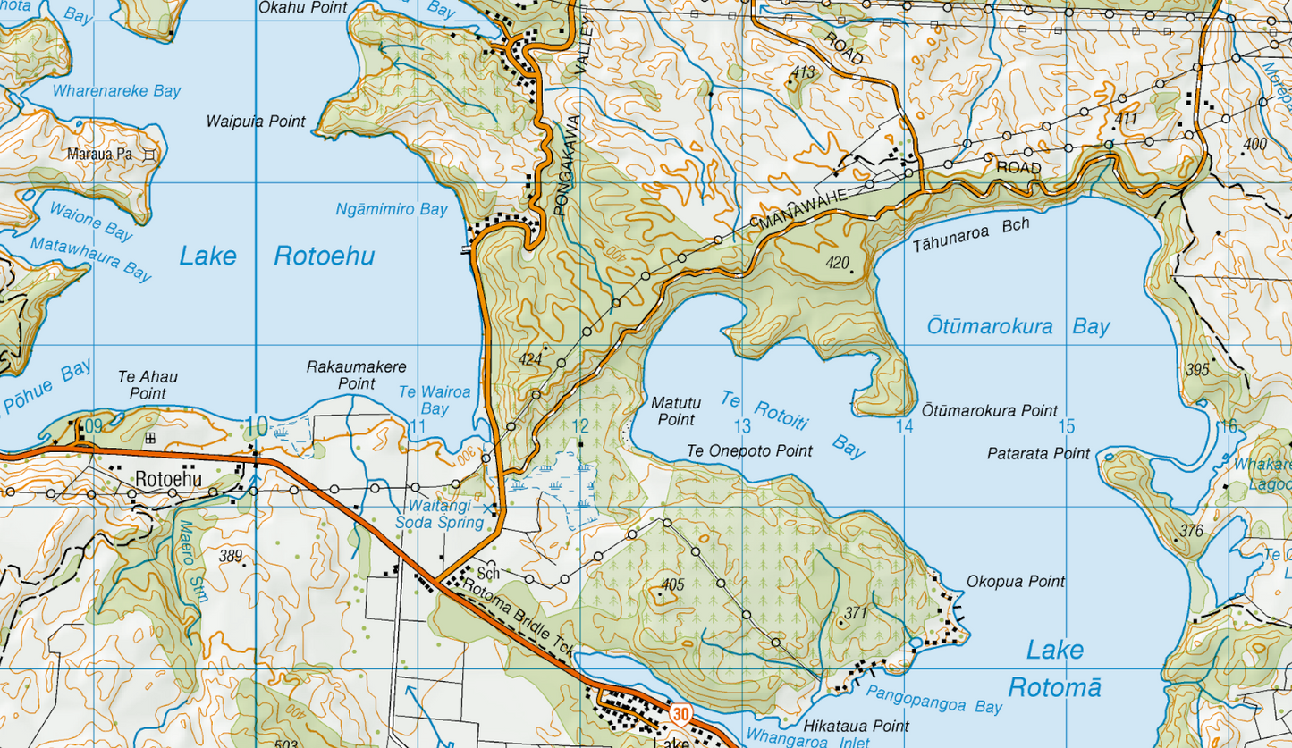 Rotorua Wall Map