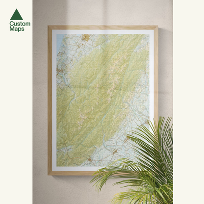 Framed topographic map on a wall with a plant in the foreground