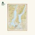 Topographic map of Wanaka and Hawea