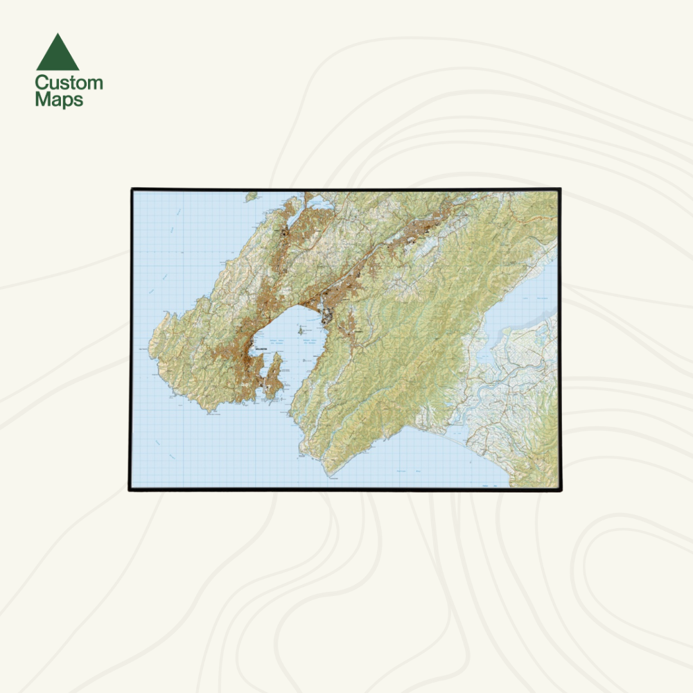 Wellington Wall Map