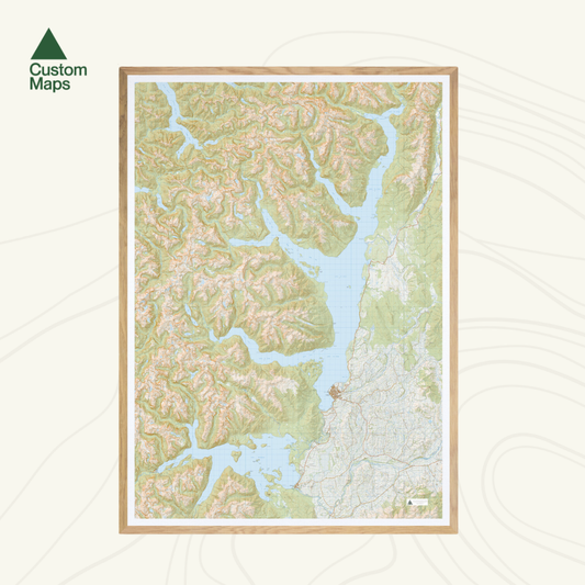 Topographic map of Manapouri and Te Anau