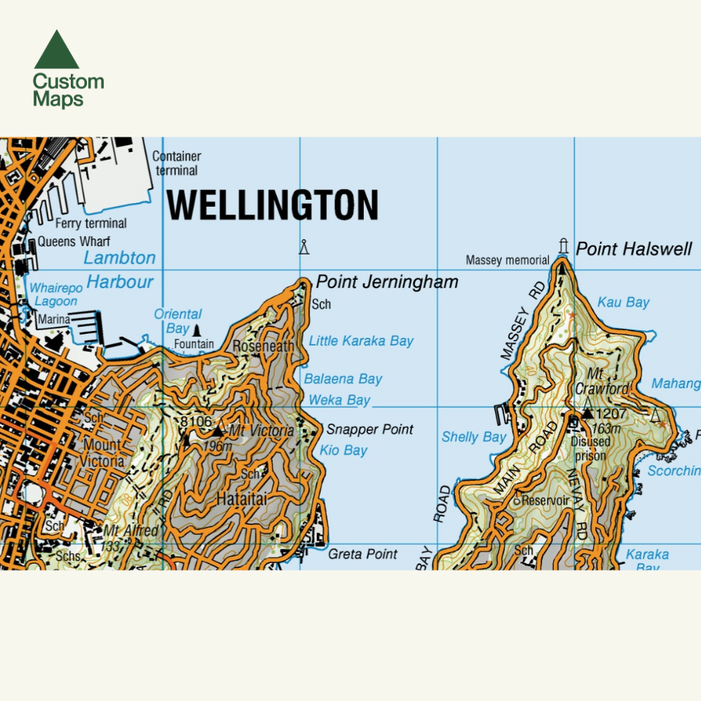 Wellington Wall Map