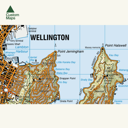 Wellington Wall Map