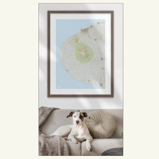 Taranaki Wall Map