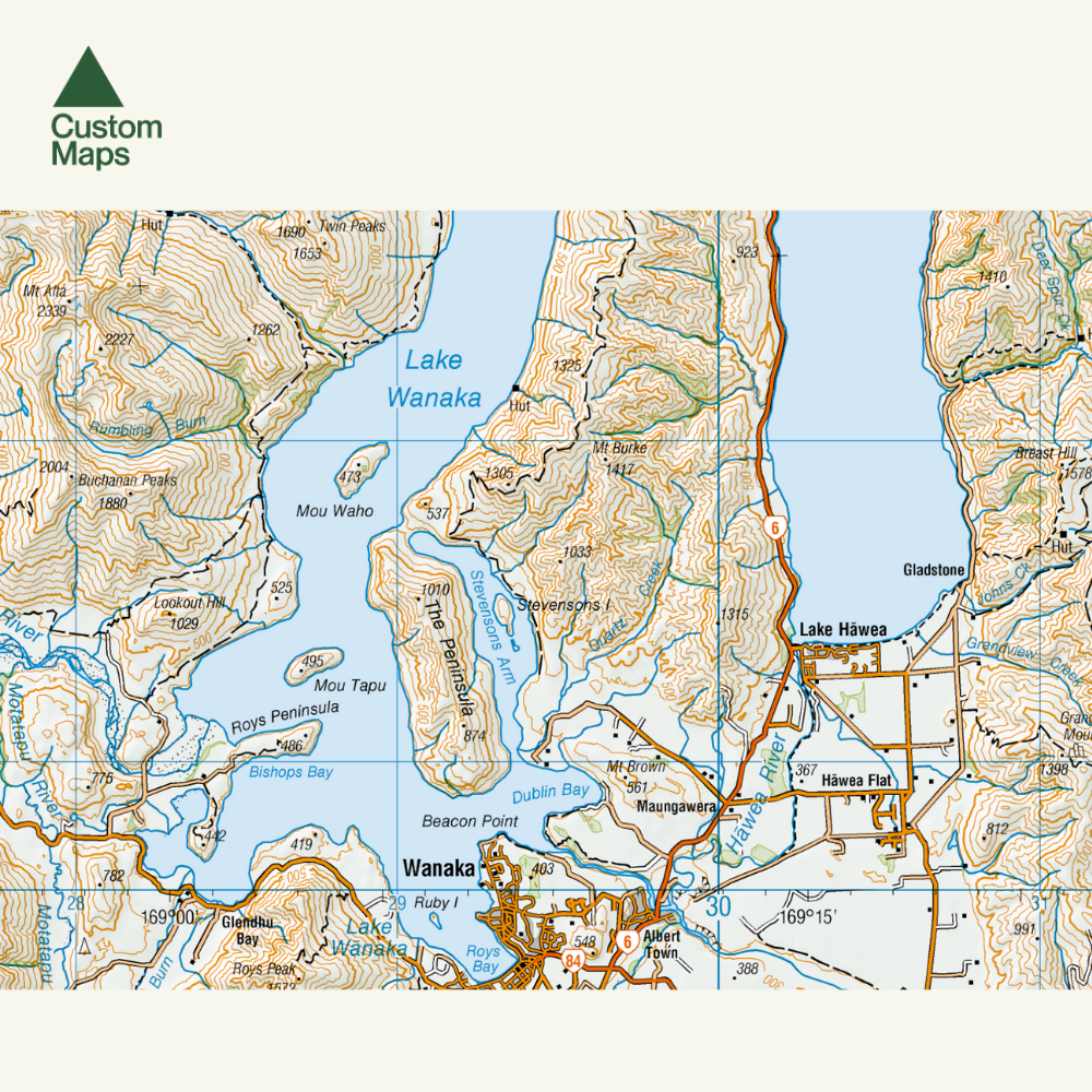 Queenstown and Wānaka Wall Map - Giant Topo Map – Custom Maps