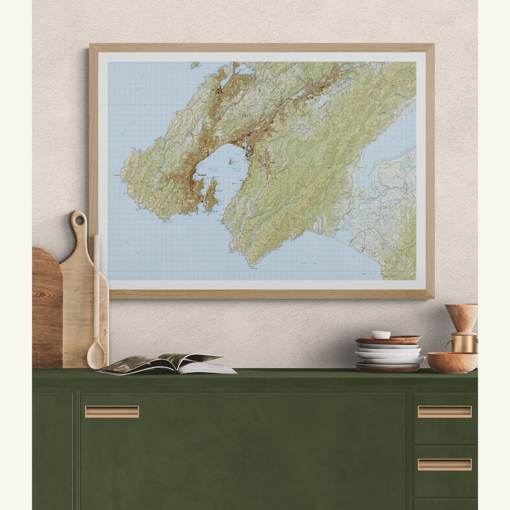 Wellington Wall Map