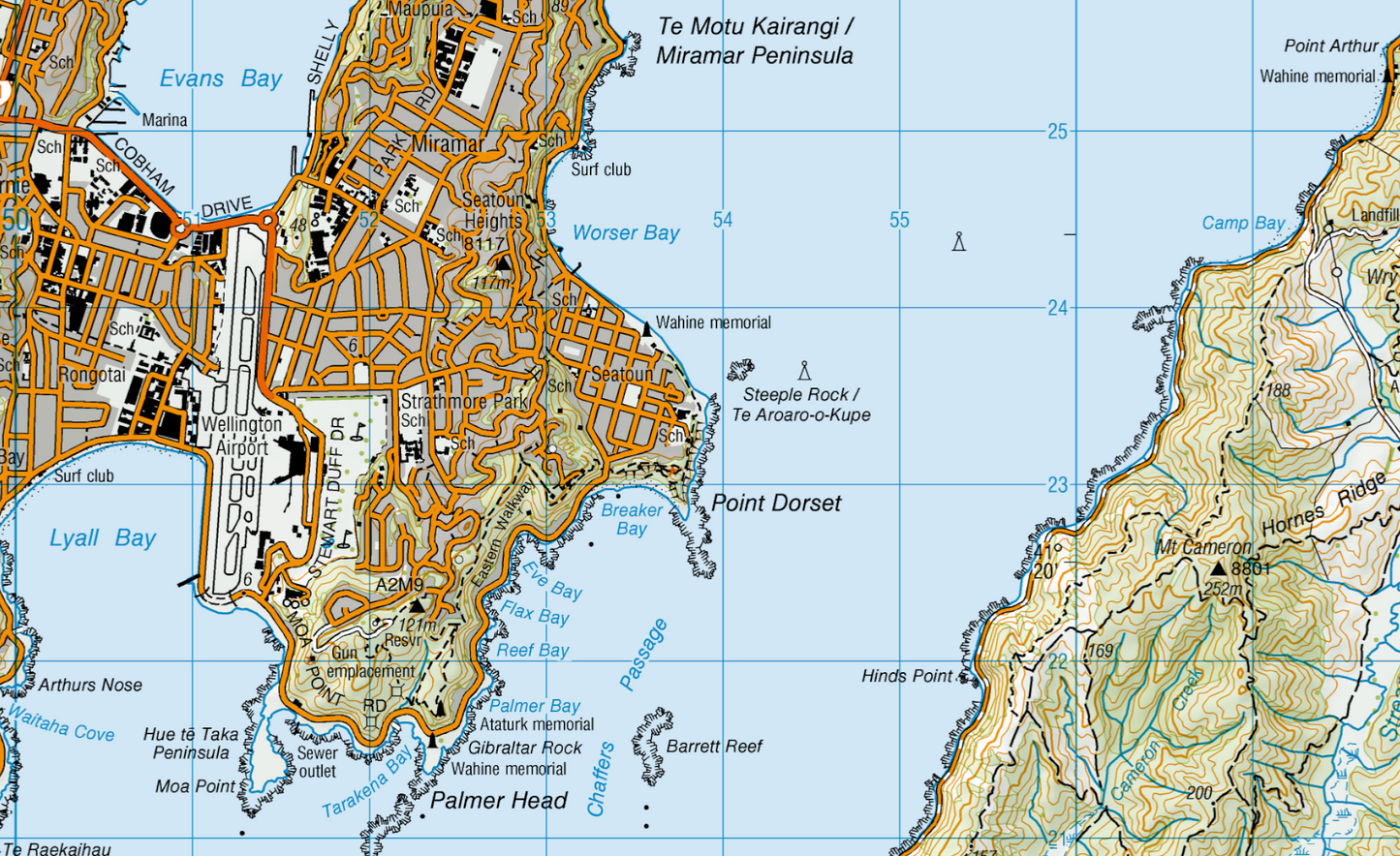 Wellington Wall Map