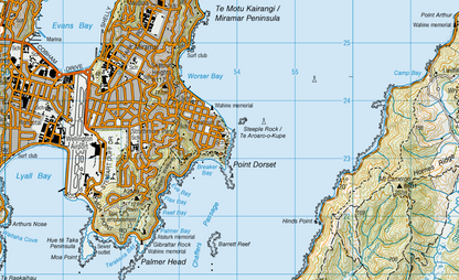 Wellington Wall Map