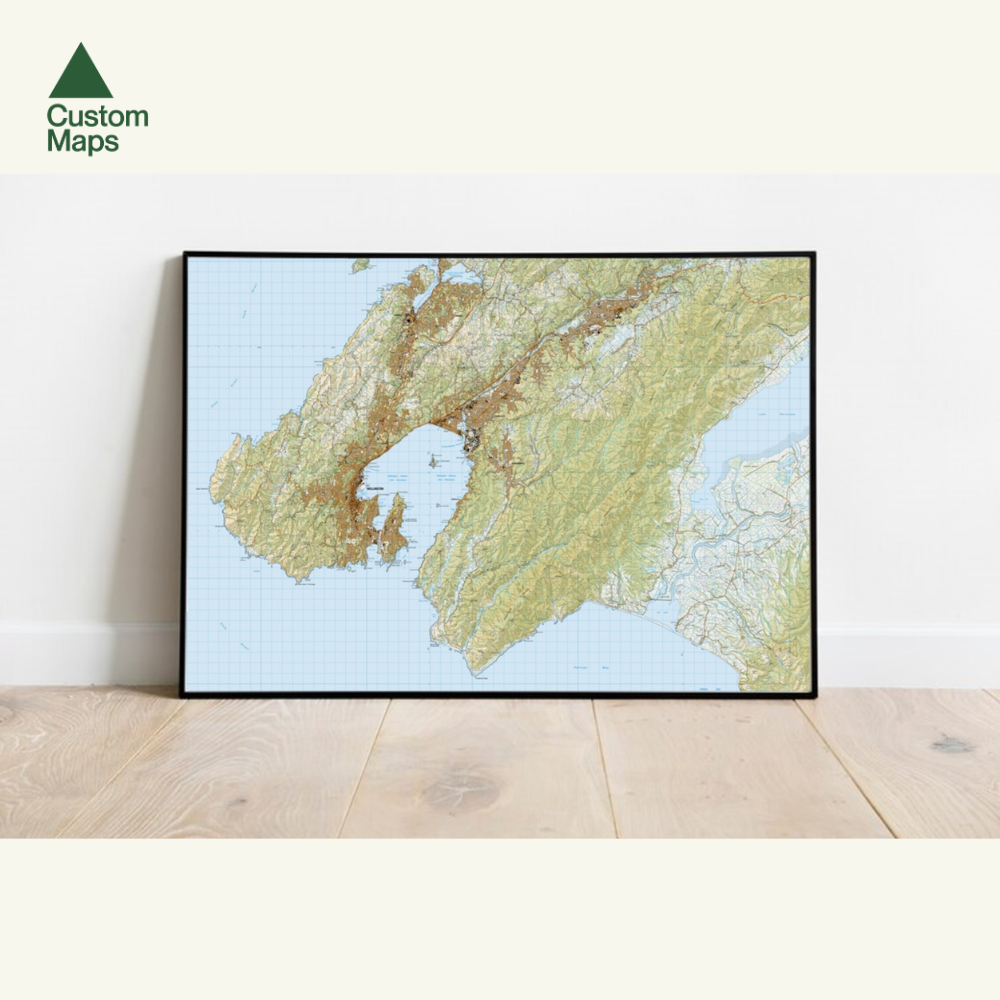 Wellington Wall Map
